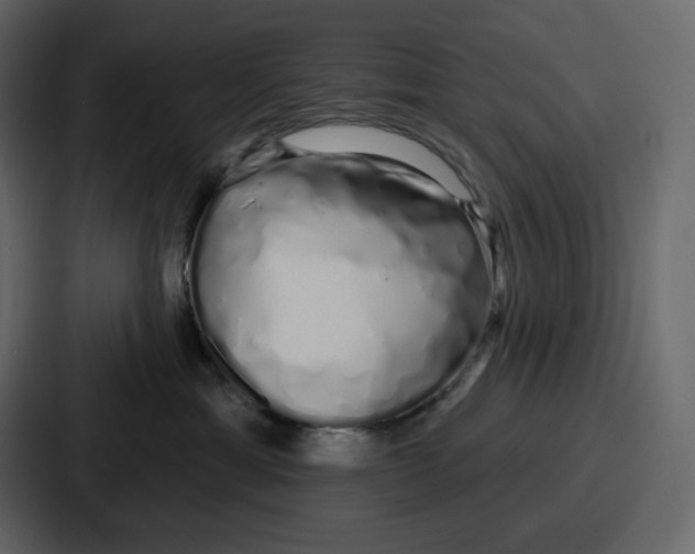 X0000086780429200705111759