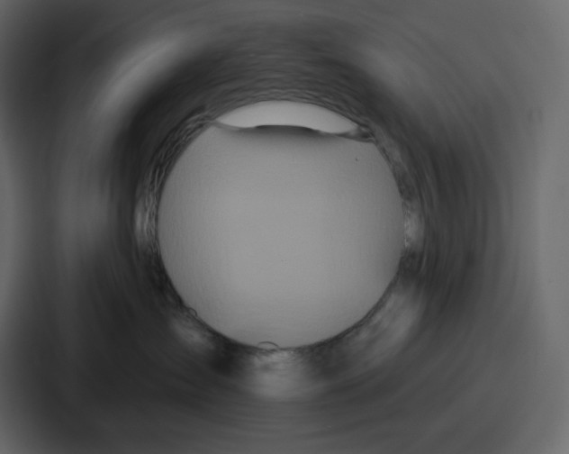 X0000086780431200705111759