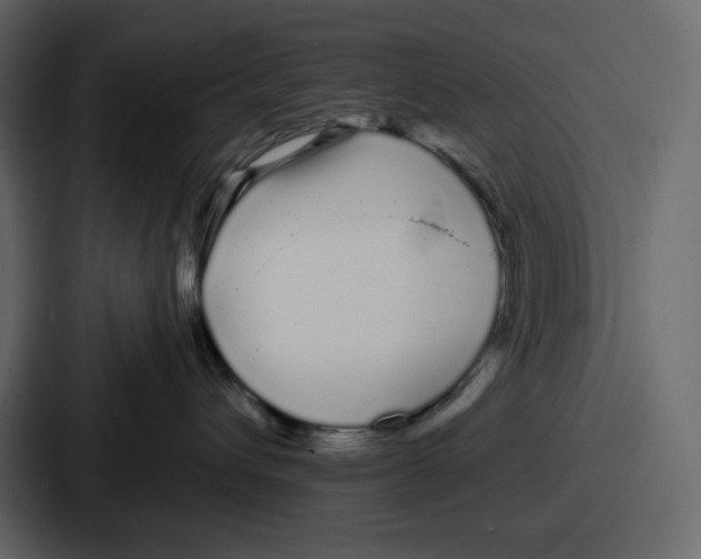 X0000086780432200705111758