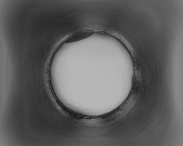 X0000086780433200705111758