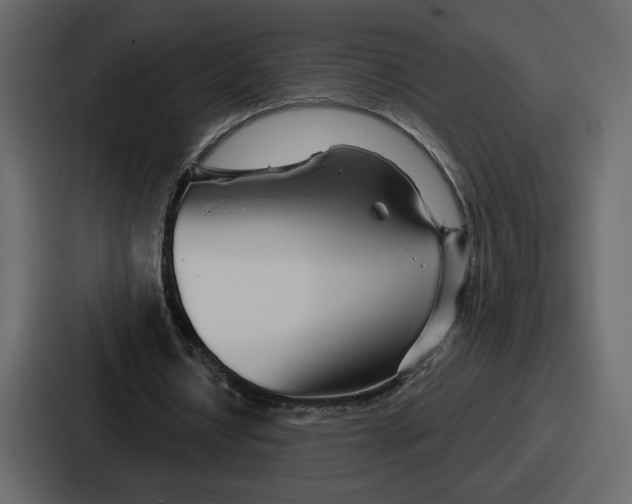 X0000086780434200705111758