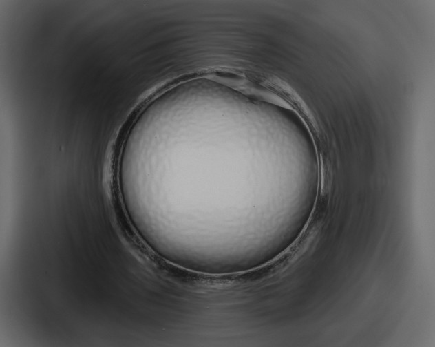 X0000086780435200705111758