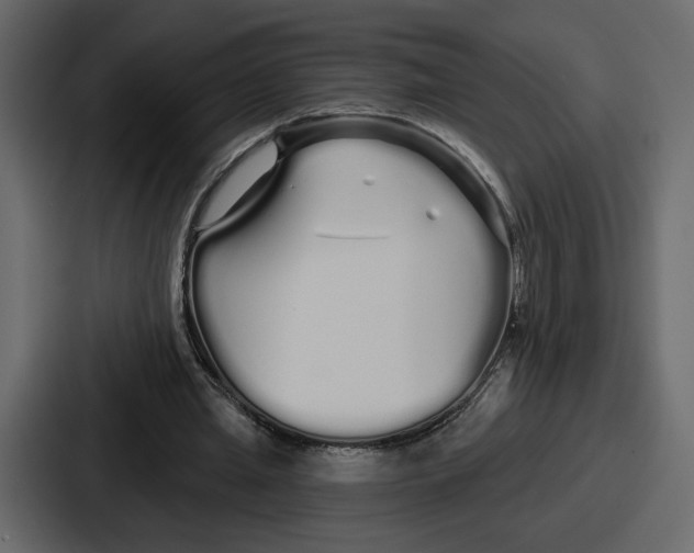 X0000086780437200705111758