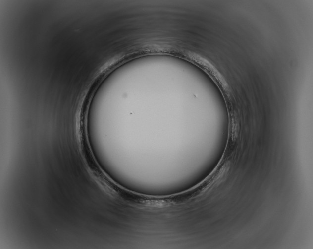 X0000086780439200705111758