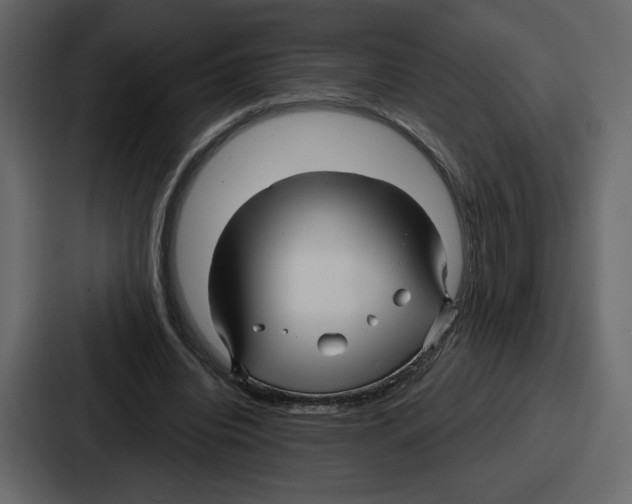 X0000086780440200705111758