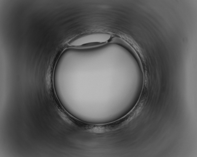 X0000086780441200705111758