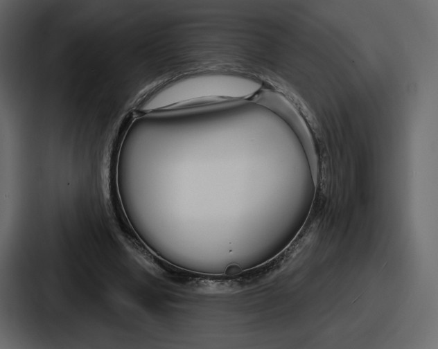 X0000086780442200705111758