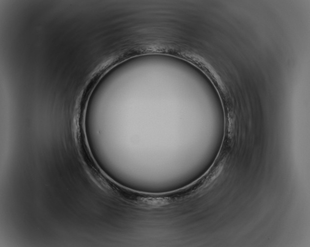 X0000086780443200705111758