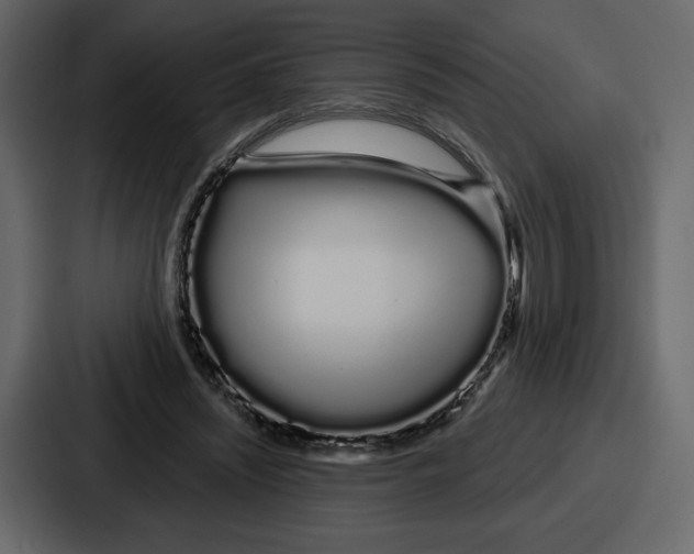 X0000086780444200705111758