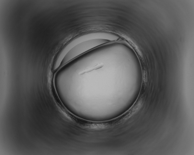 X0000086780445200705111758