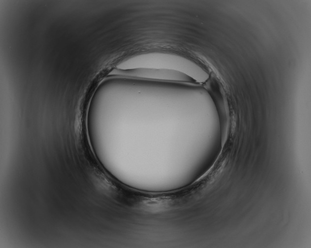 X0000086780447200705111758