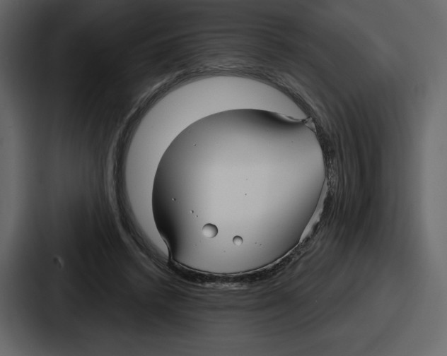 X0000086780448200705111758