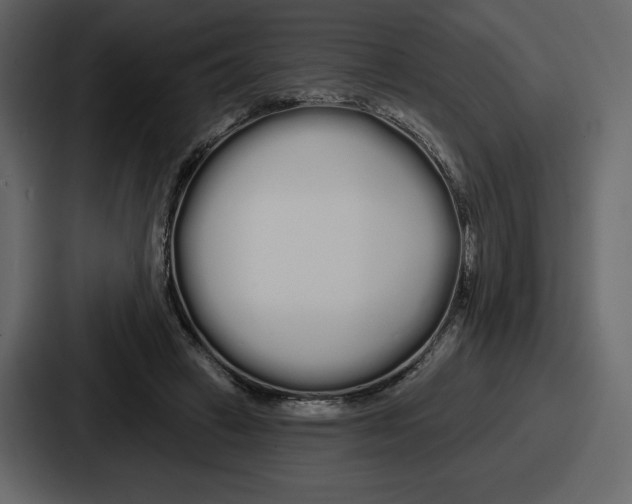 X0000086780449200705111758