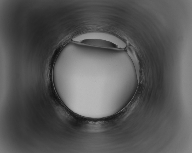 X0000086780450200705111758