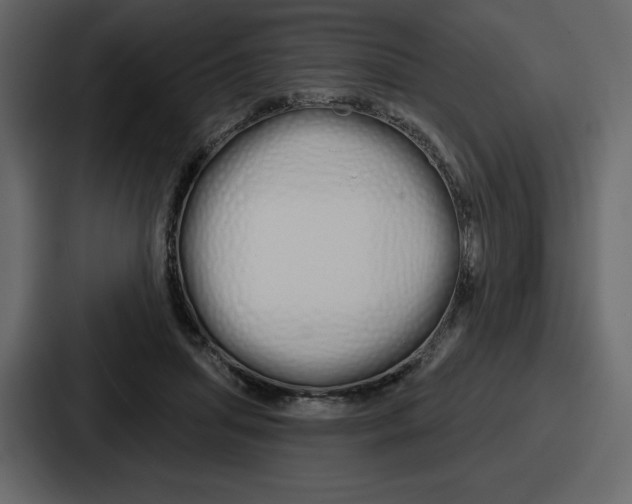 X0000086780455200705111758