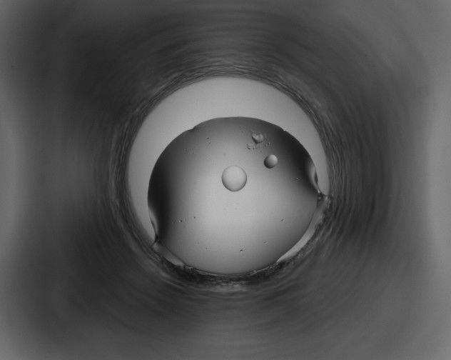 X0000086780456200705111758