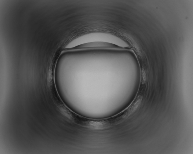 X0000086780457200705111758