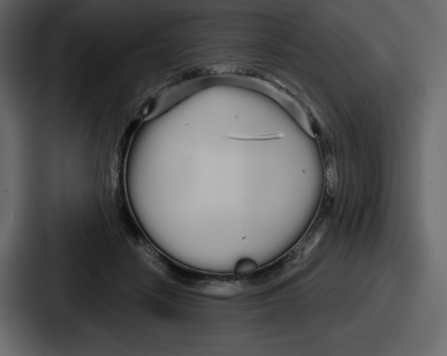 X0000086780458200705111758