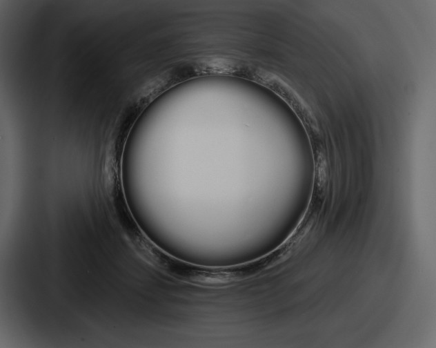 X0000086780459200705111758