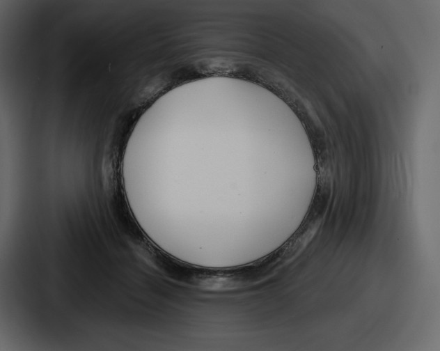 X0000086780460200705111758