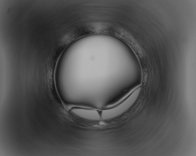 X0000086780461200705111758