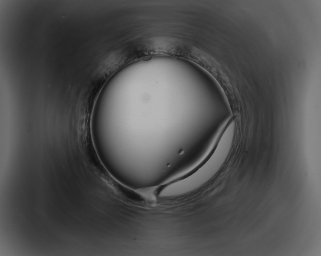 X0000086780462200705111758