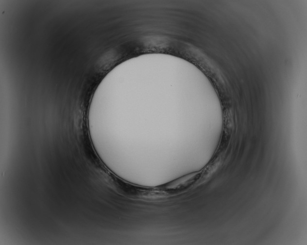 X0000086780463200705111758