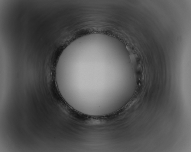 X0000086780464200705111758