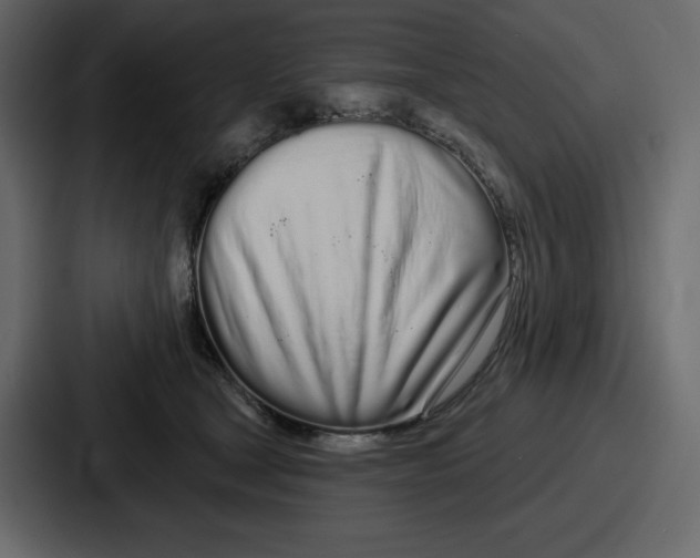 X0000086780465200705111758