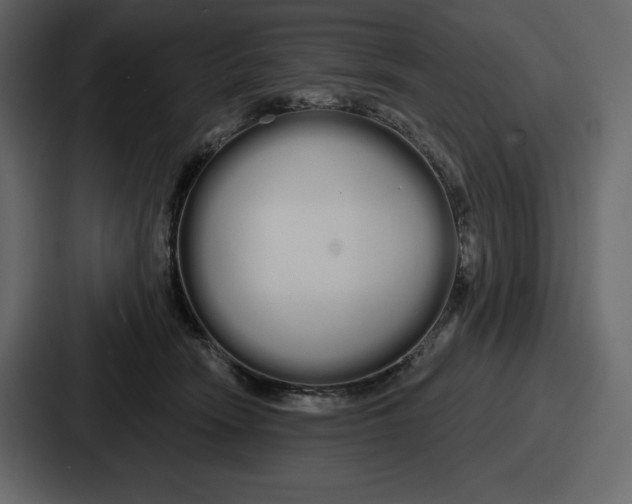 X0000086780466200705111758