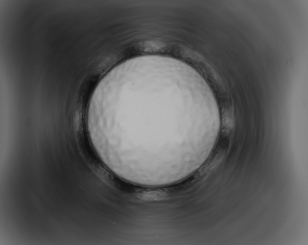 X0000086780468200705111758