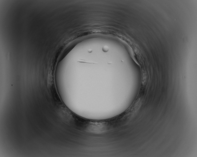 X0000086780469200705111758