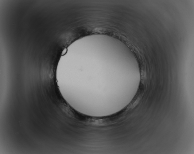 X0000086780472200705111758