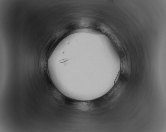 X0000086780473200705111758