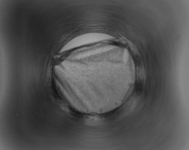 X0000086780475200705111758