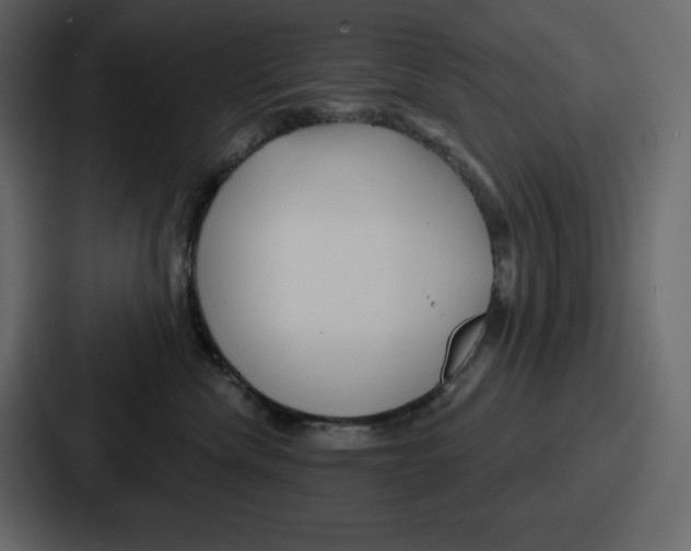 X0000086780476200705111758