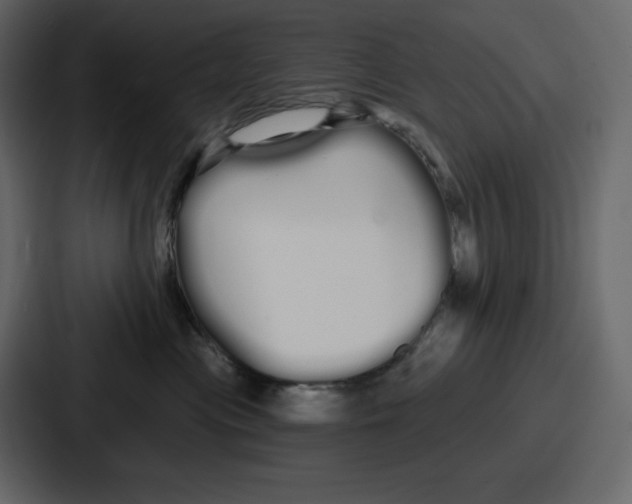 X0000086780477200705111758