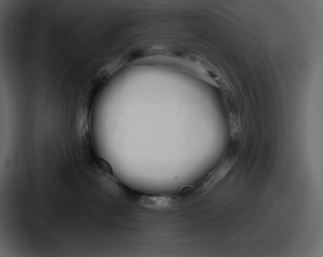 X0000086780478200705111758