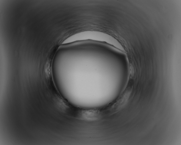 X0000086780479200705111758