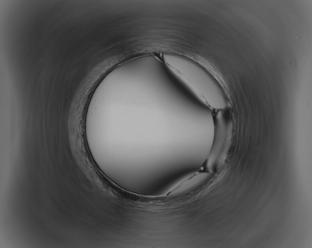 X0000086780481200705111758