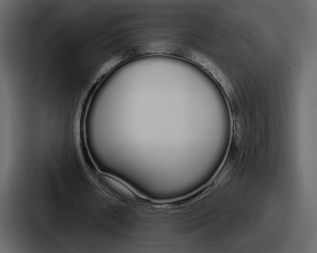 X0000086780482200705111758