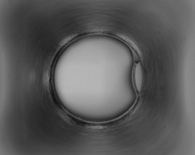 X0000086780483200705111758