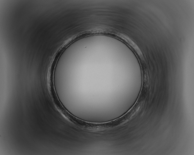 X0000086780485200705111758