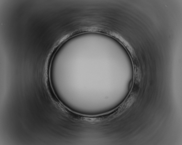 X0000086780486200705111758