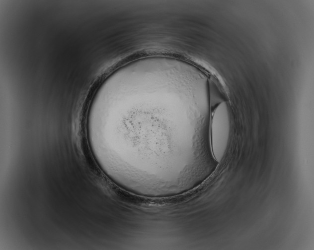 X0000086780487200705111758