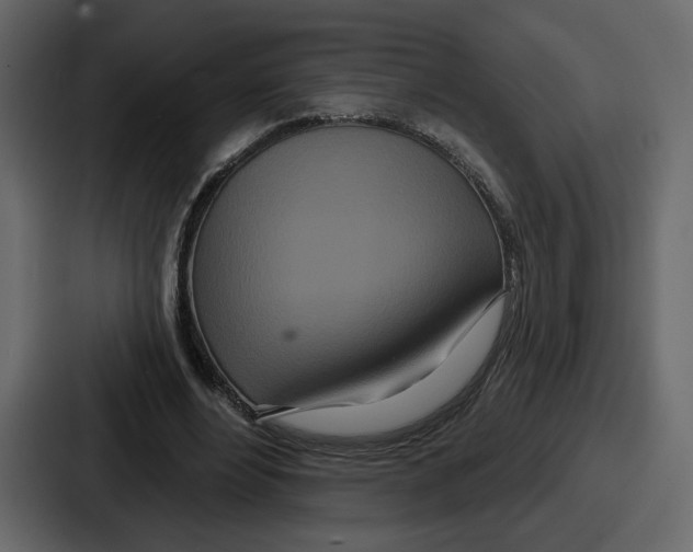 X0000086780488200705111758