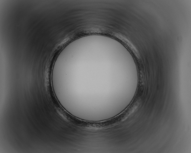 X0000086780489200705111758