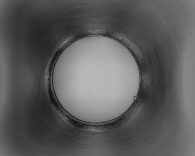 X0000086780490200705111758