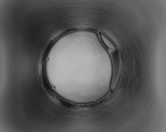 X0000086780491200705111758