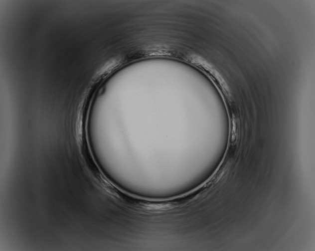 X0000086780494200705111758